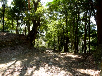 Kaneyama castle ootemon2