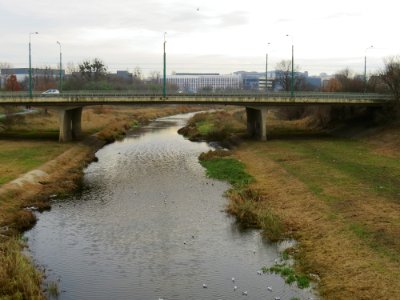 Kanał Cybina Poznań 05