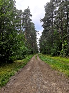 Köydenpunontarata