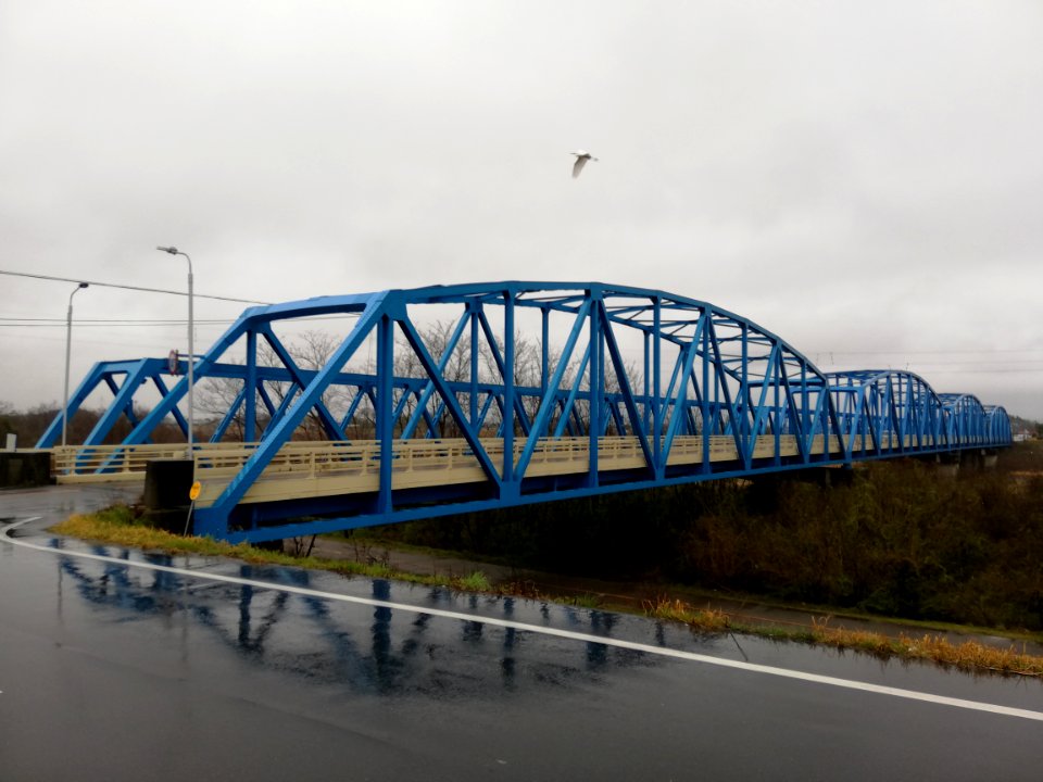 Kōda Bridge 20210321