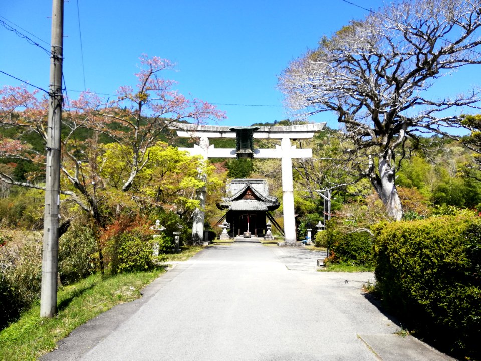 Kōjinyama Shrine Satomiya 20210411 02