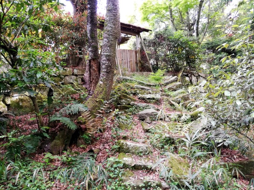 Kōjin'yama Shrine Okumiya 20210511 09