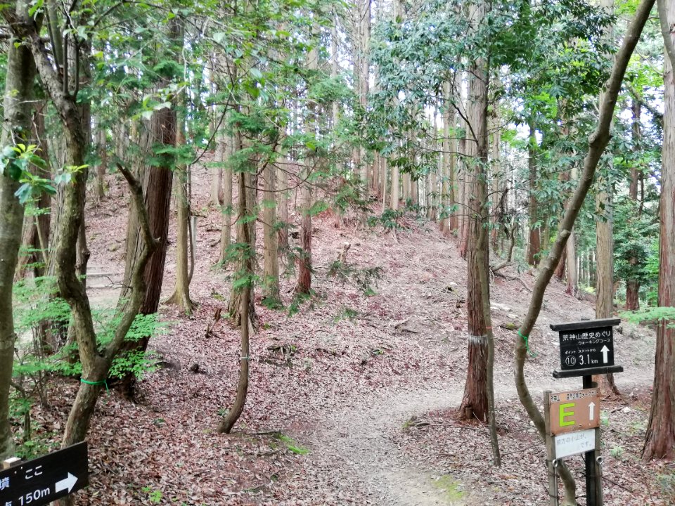 Kōjin'yama Kofun 20210511 02