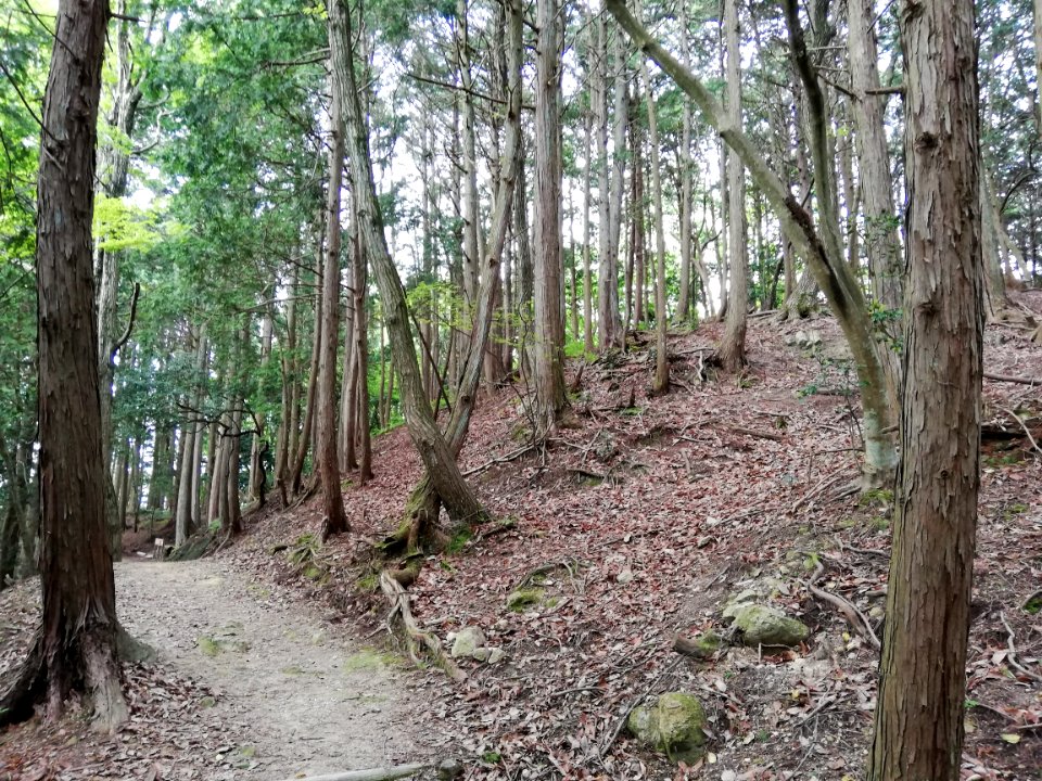 Kōjin'yama Kofun 20210511 03