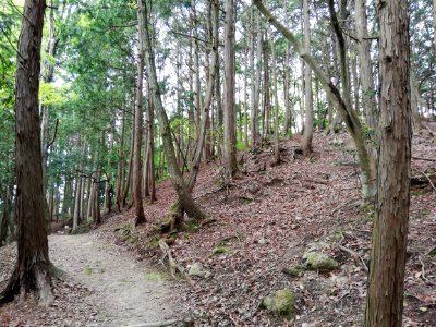 Kōjin'yama Kofun 20210511 03