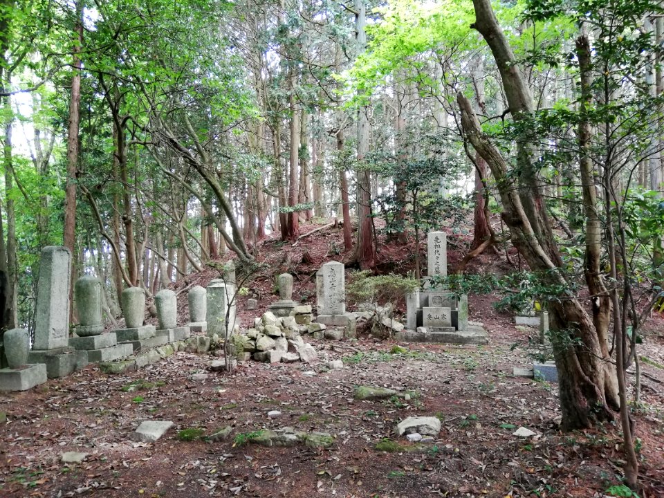 Kōjin'yama Kofun 20210511 07