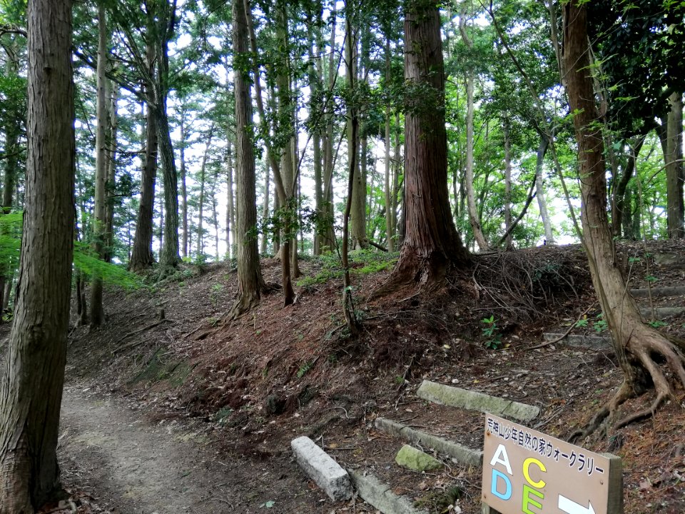Kōjin'yama Kofun 20210511 05