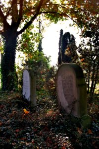 Juedischer Friedhof Hopsten 08