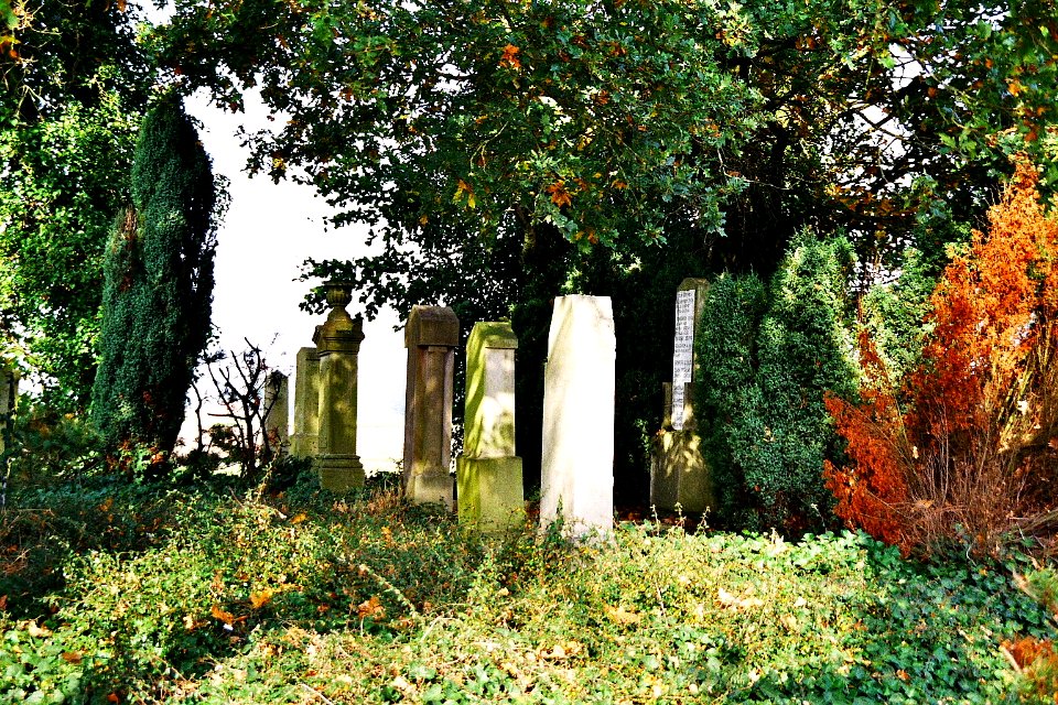 Juedischer Friedhof Hopsten 04