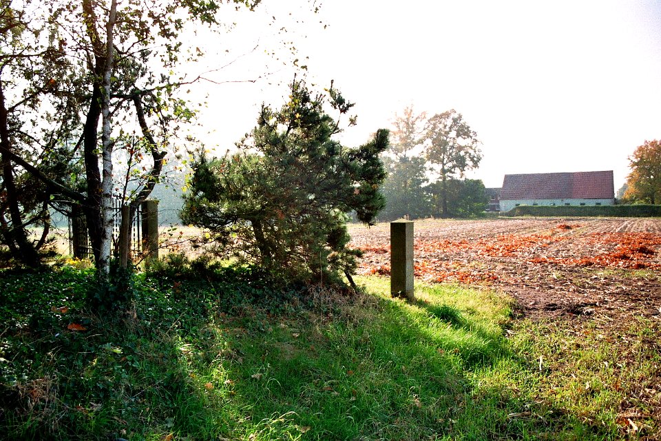 Juedischer Friedhof Hopsten 03