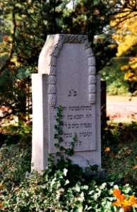 Juedischer Friedhof Hopsten 10