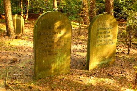 Juedischer Friedhof Westerkappeln Grabmale Daniel und Bella Block 01