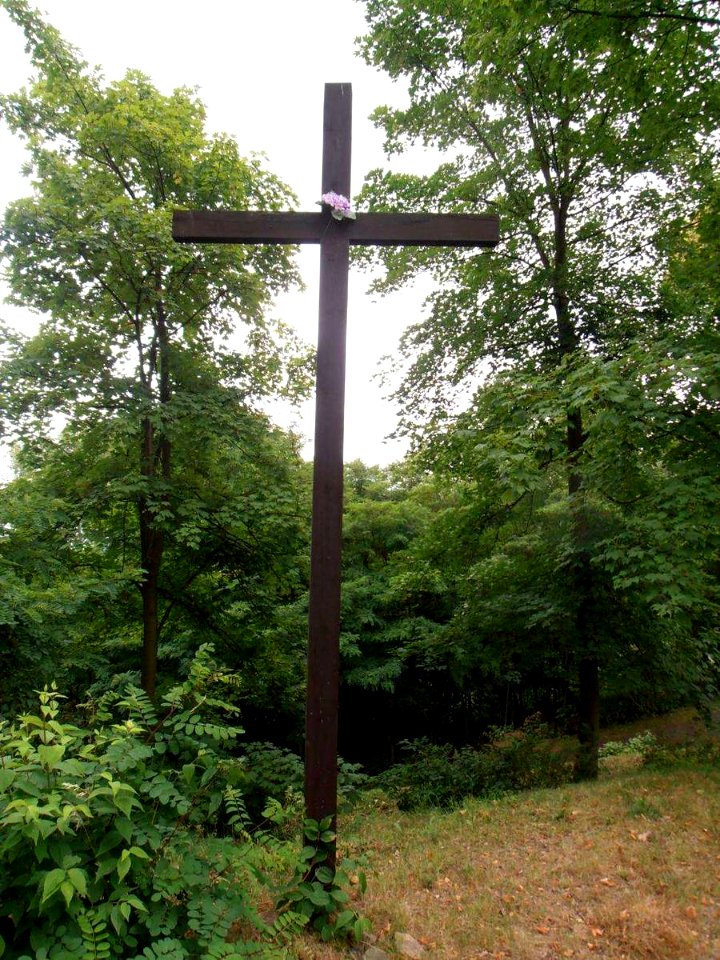 Kříž v Petrovicích u Rakovníka (Q66566970)