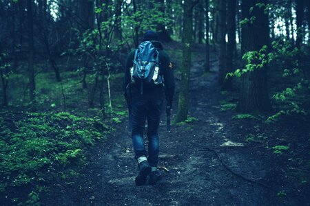 Hiking trekking forest