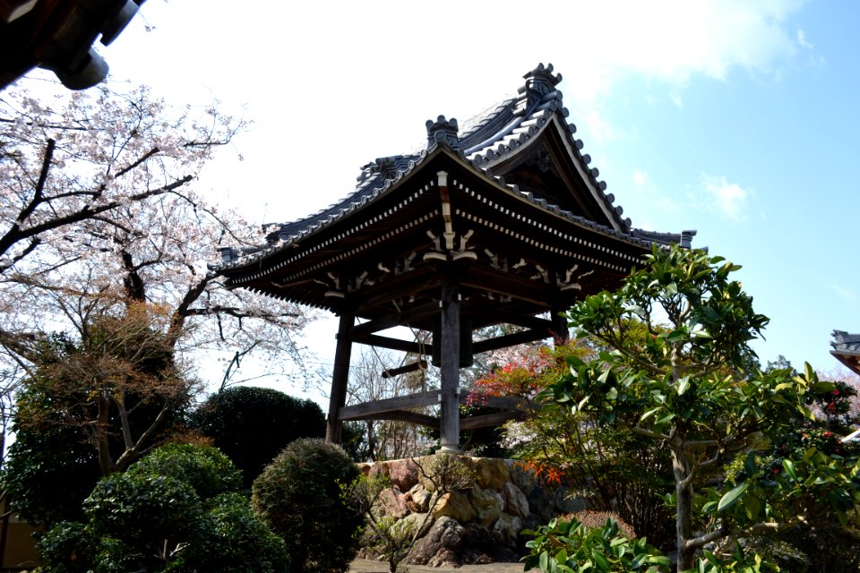 Kōunzan Kūan-ji Temple 20210326 03