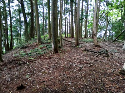 Kōjin'yama Kofun 20210511 06