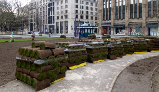 Königsallee, Düsseldorf, frischer Rollrasen März 2020 (2)