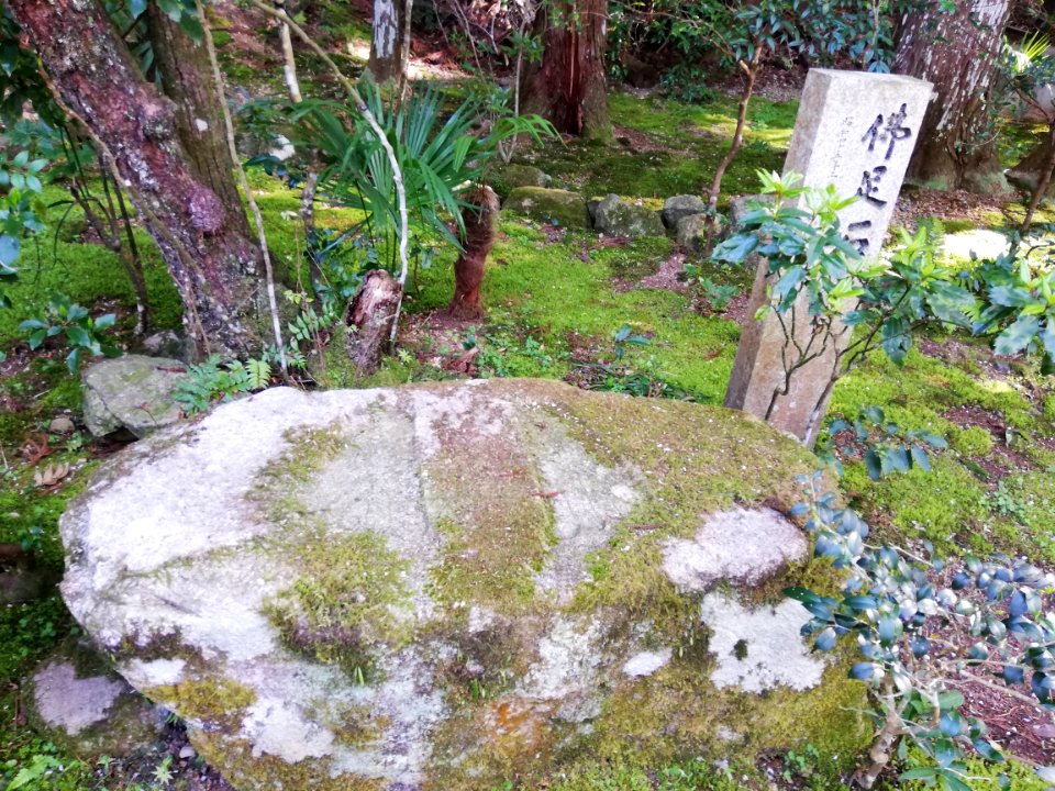 Kōtokusan Ryōtan-ji Temple 20210411 07