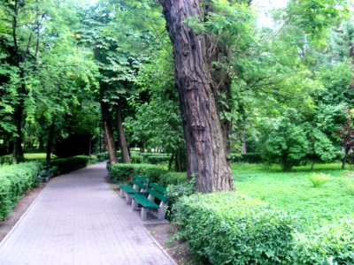 Katowice- Gołby Square