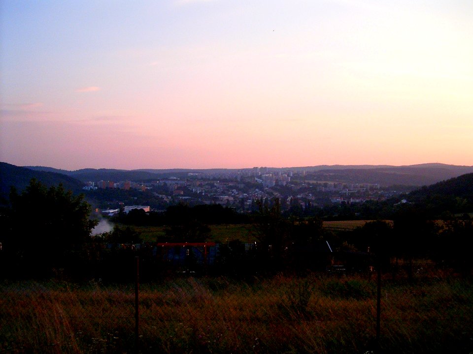 Netopýrkyf578