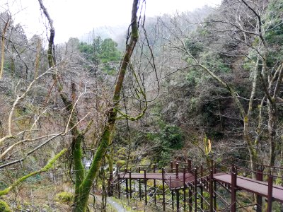 Kawachi Cave (Kawachi no Kaza'ana) 20210305 05