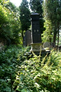 New Jewish cemetery in Hostouň 13