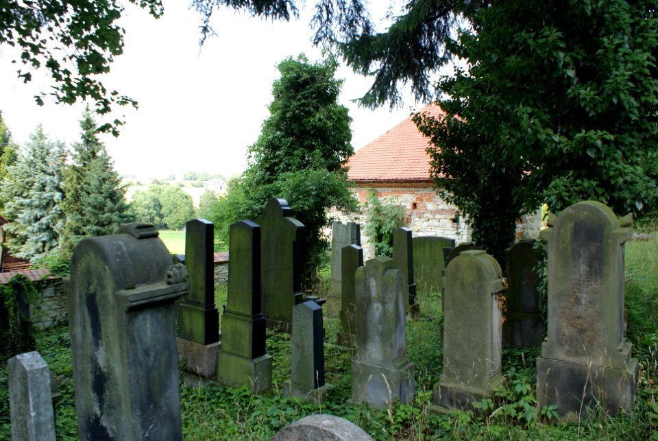 New Jewish cemetery in Hostouň 10