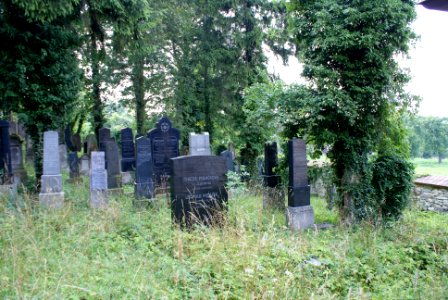 New Jewish cemetery in Hostouň 06