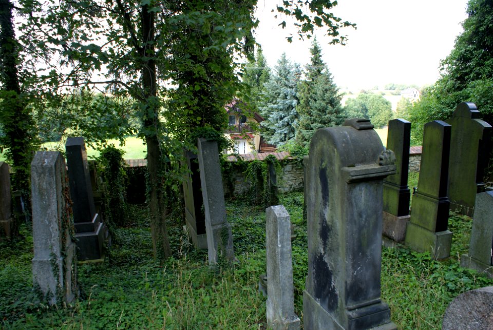 New Jewish cemetery in Hostouň 12