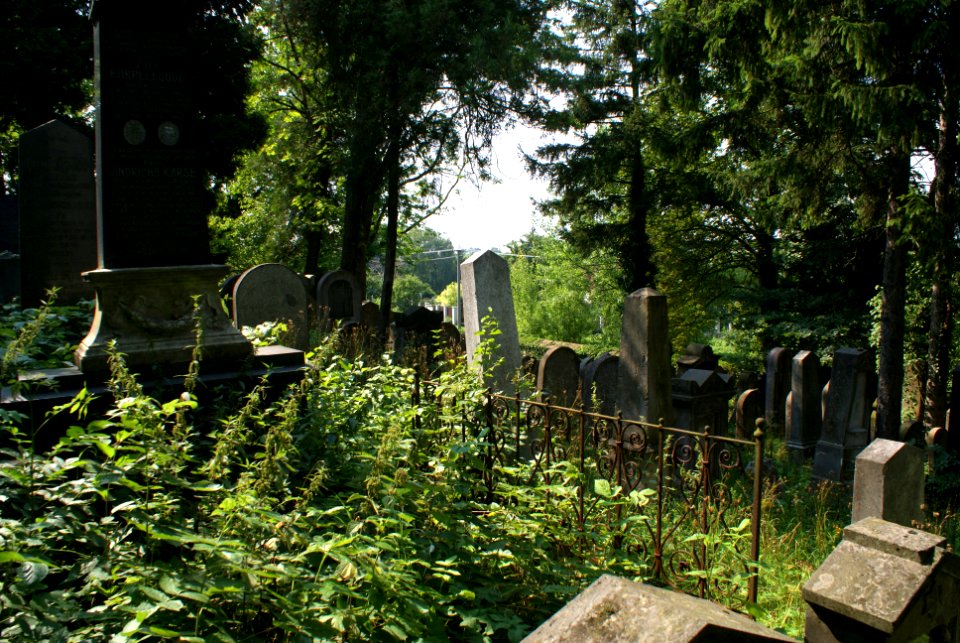 New Jewish cemetery in Hostouň 15