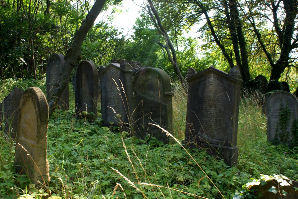 New Jewish cemetery in Hostouň 20