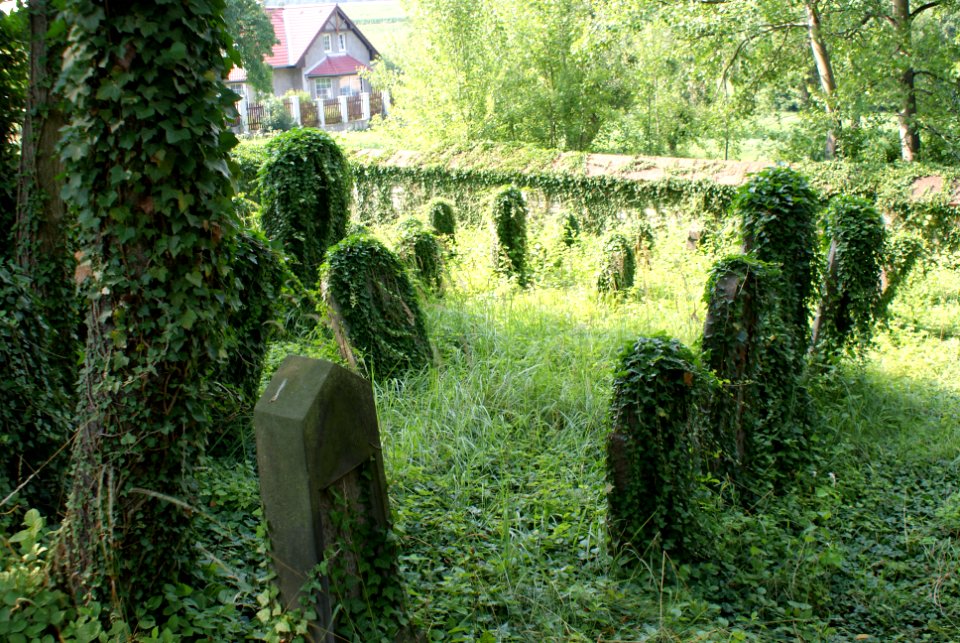 New Jewish cemetery in Hostouň 19