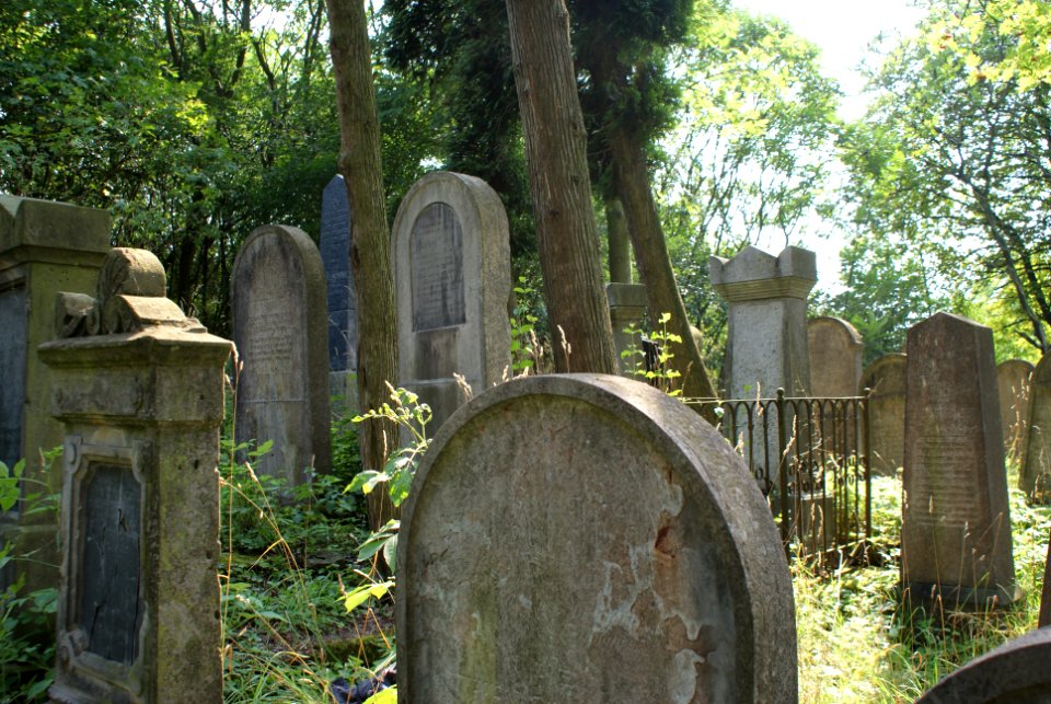 New Jewish cemetery in Hostouň 21