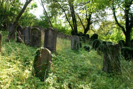 New Jewish cemetery in Hostouň 16