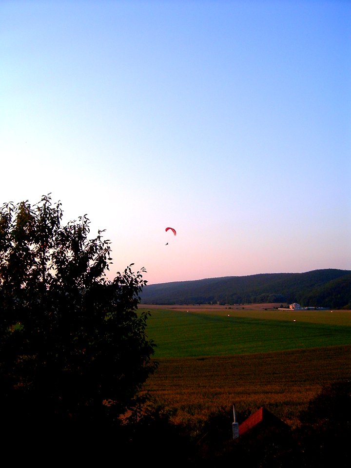 Netopýrky9557