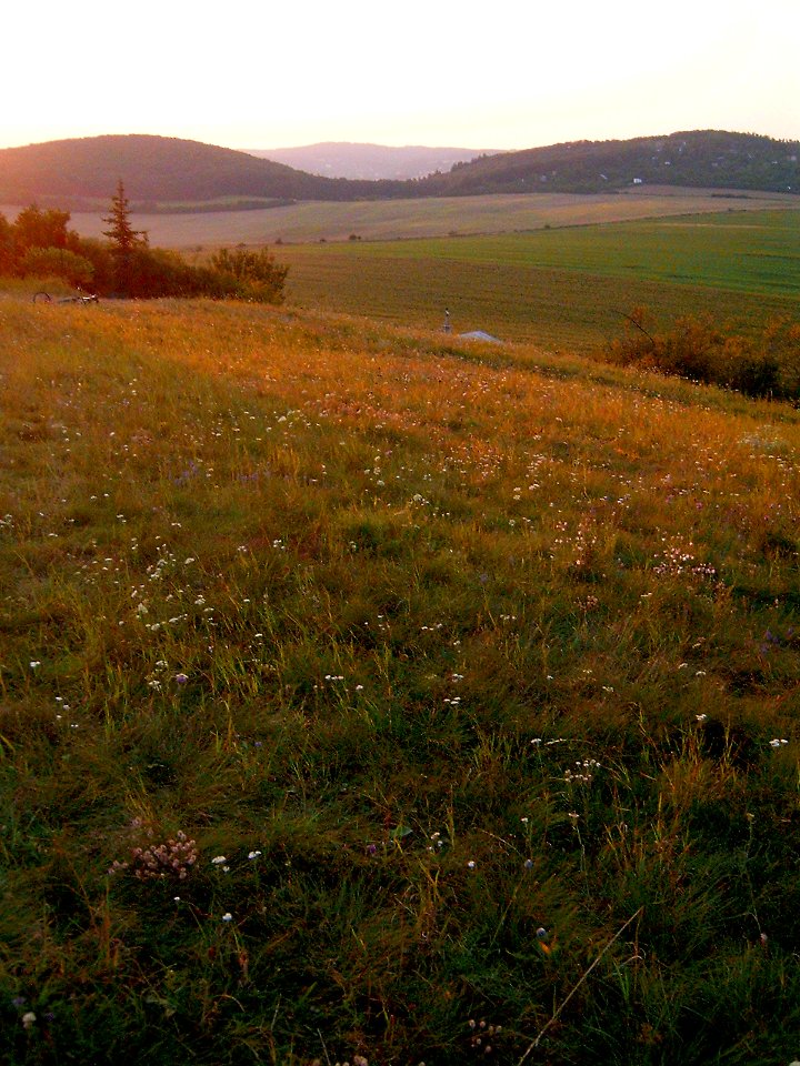 Netopýrky9569