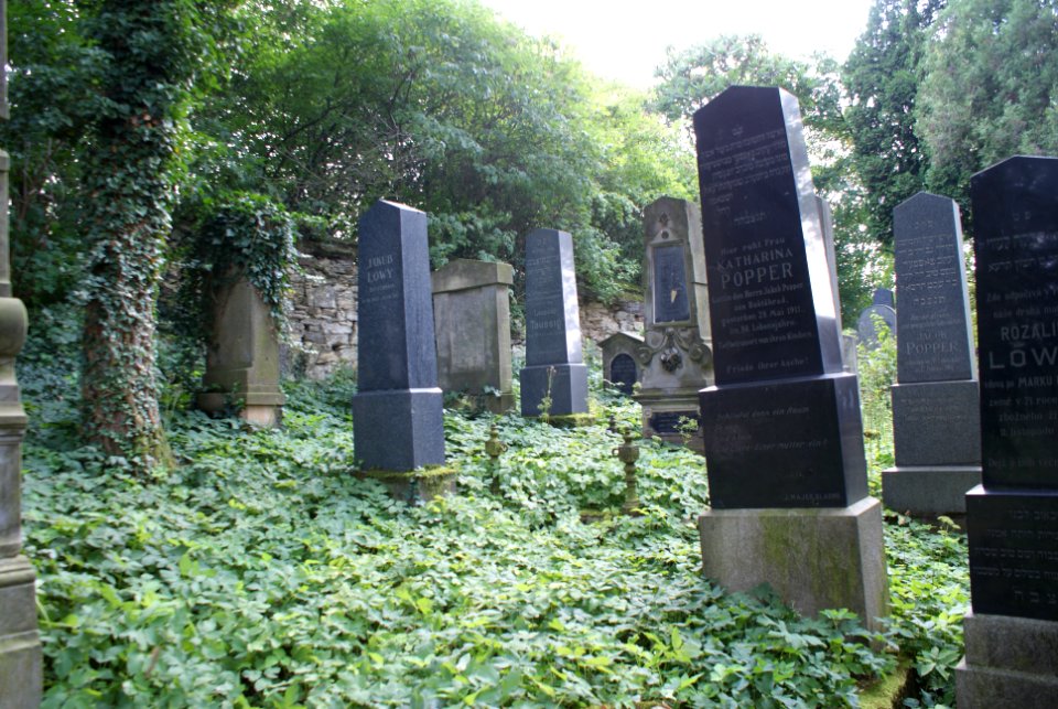 New Jewish cemetery in Hostouň 08