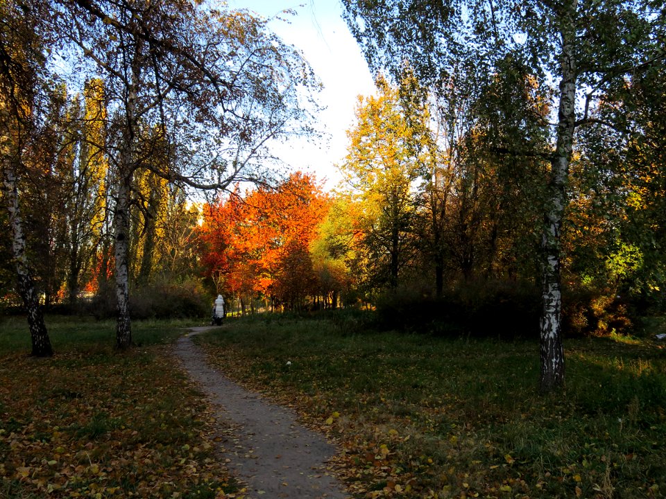 Orlyatko park, Kiev1
