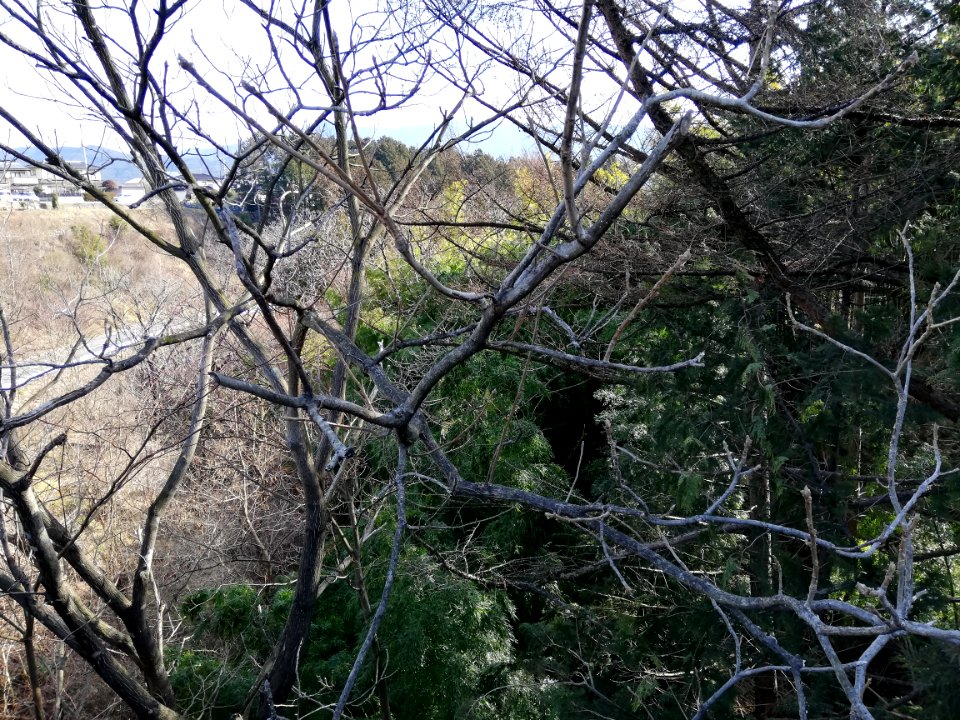 Futtagiri River 20200301 01