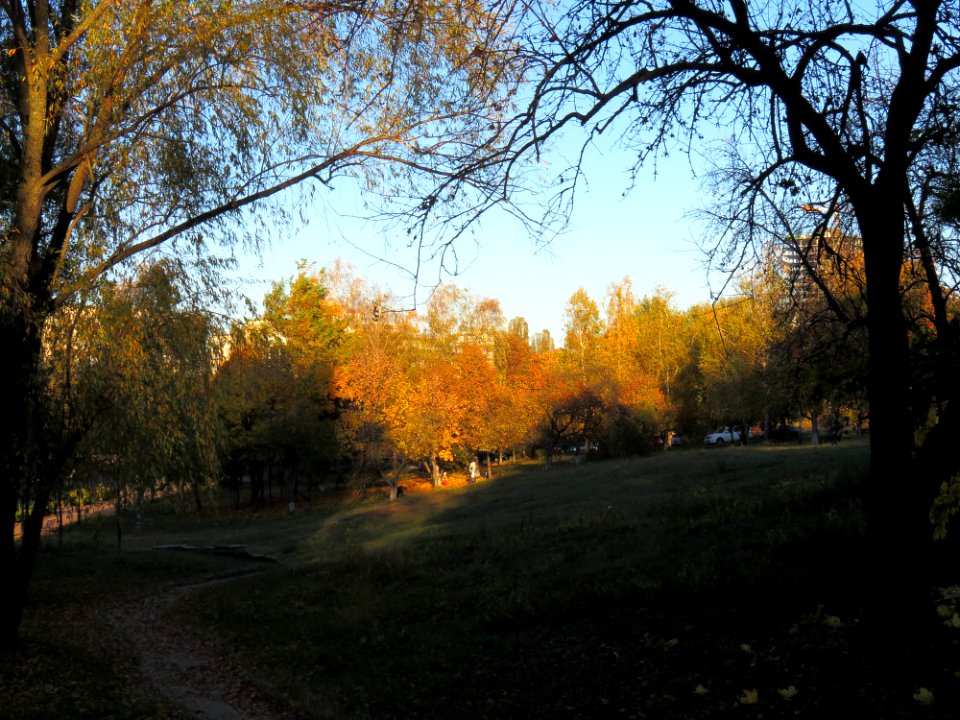 Orlyatko park, Kiev2