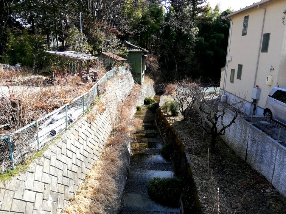 Futtagiri River 20200301 02