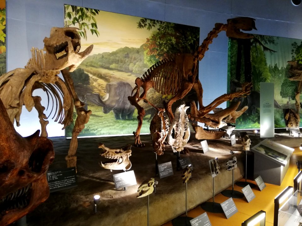 Fukui Prefectural Dinosaur Museum 20210504 34