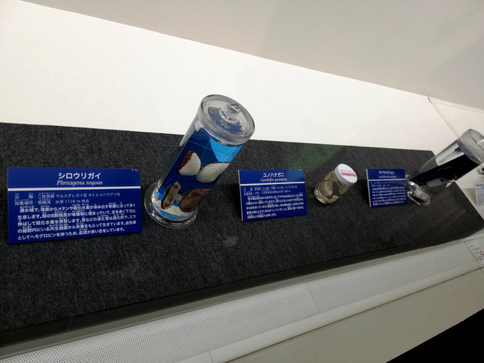 Fukui Prefectural Dinosaur Museum 20210504 51