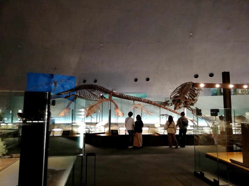 Fukui Prefectural Dinosaur Museum 20210504 38