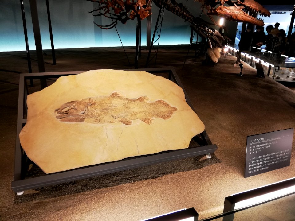 Fukui Prefectural Dinosaur Museum 20210504 42