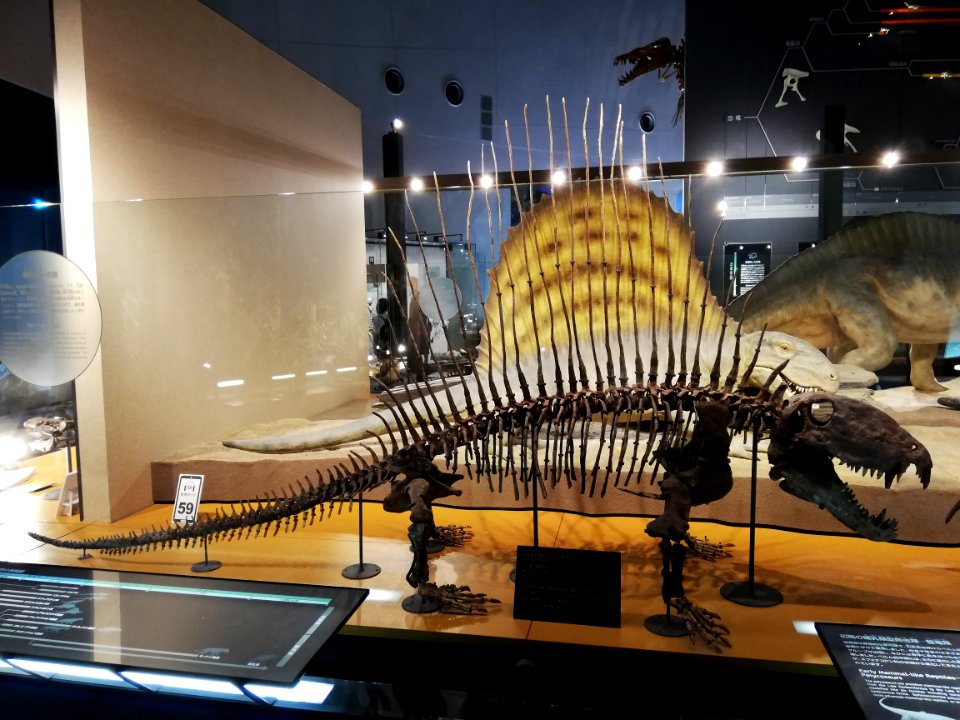 Fukui Prefectural Dinosaur Museum 20210504 47