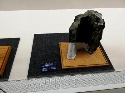 Fukui Prefectural Dinosaur Museum 20210504 49