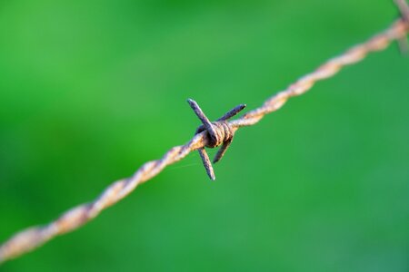 Macro limit wire