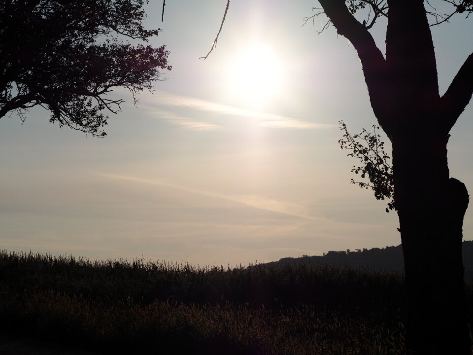 Light sun landscape