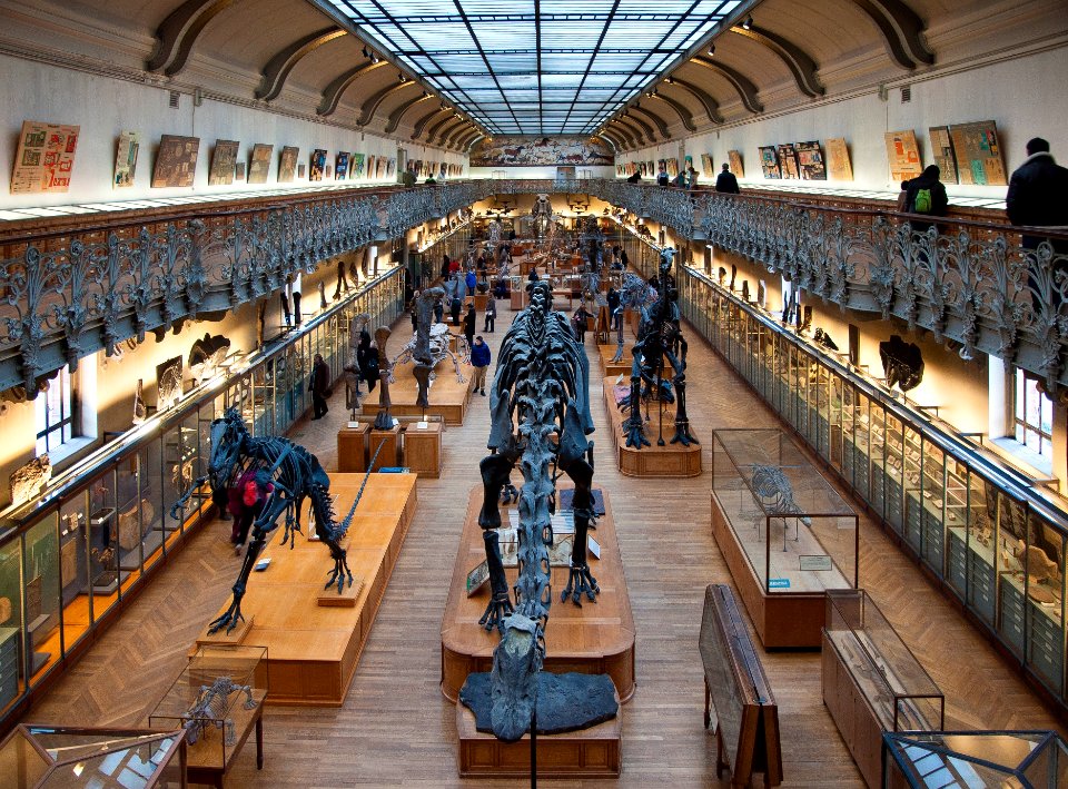 Galeries d'Anatomie comparée et de Paléontologie. Paris